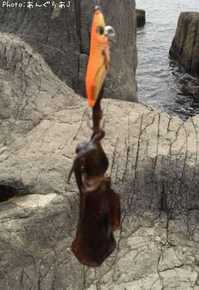 �����ꥤ��