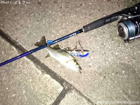 �����Х�