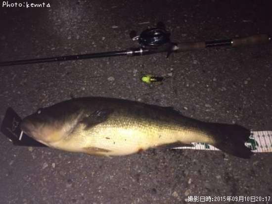 �֥�å��Х�