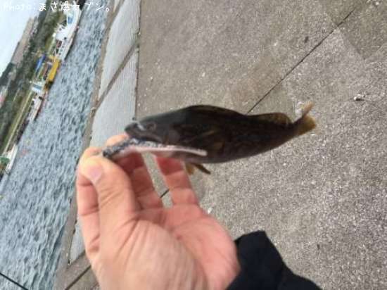 �����ʥ�