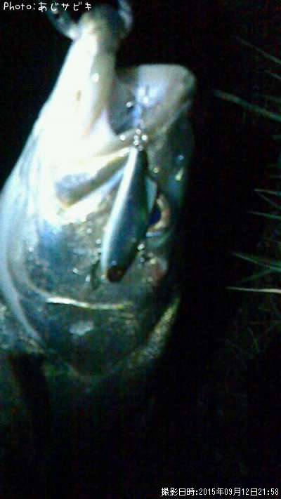 �����Х�