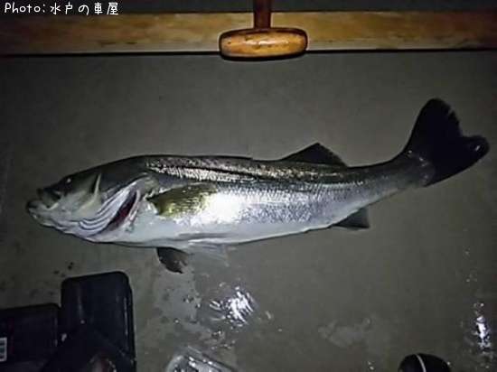 �����Х�