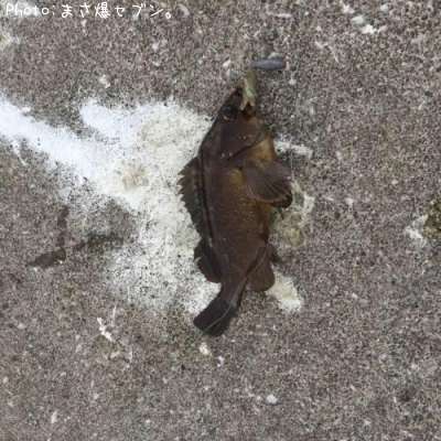 ������Х�