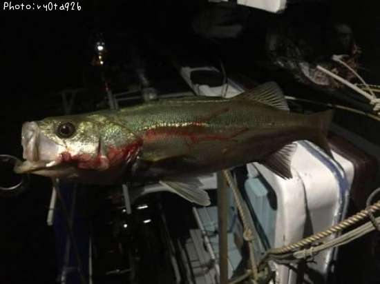 �����Х�