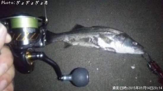 �����Х�