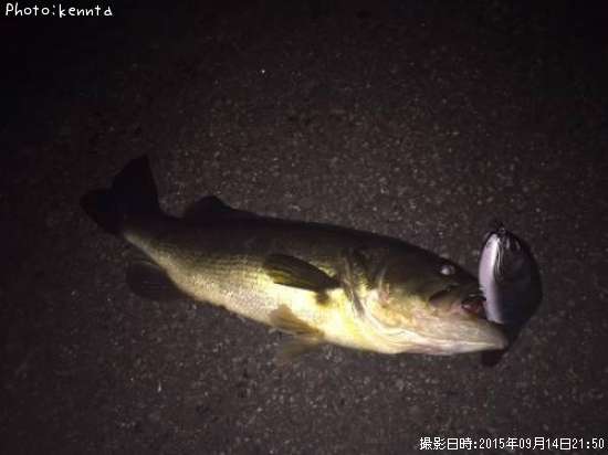 �֥�å��Х�