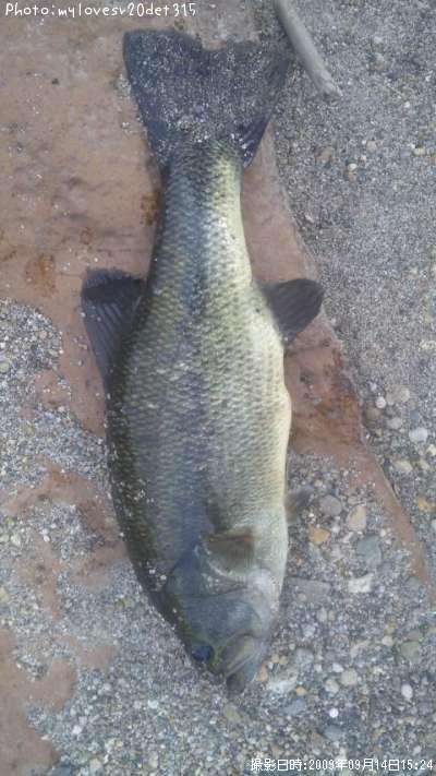 �֥�å��Х�