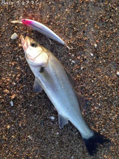 �����Х�