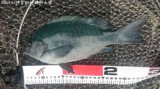 �����᥸��