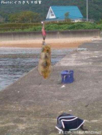 �����ꥤ��