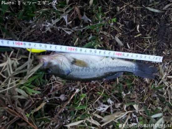 �֥�å��Х�