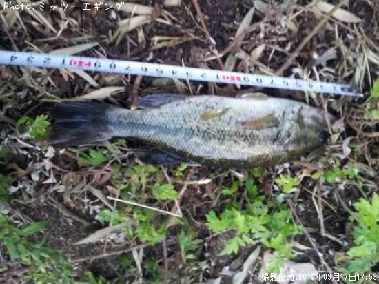 �֥�å��Х�