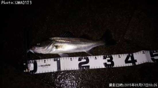 �����Х�