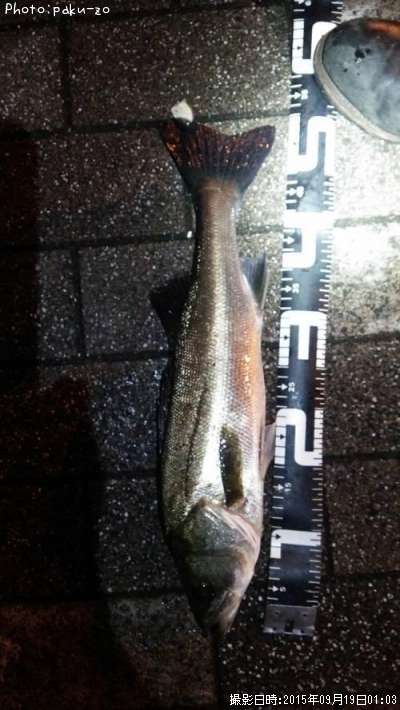 �����Х�