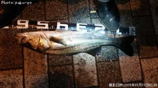 �����Х�