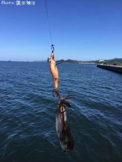 �����ꥤ��