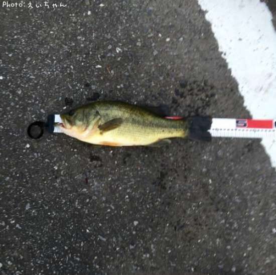 �֥�å��Х�