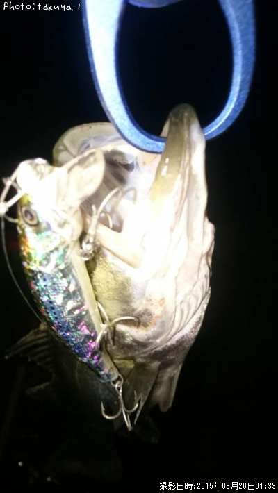 �����Х�