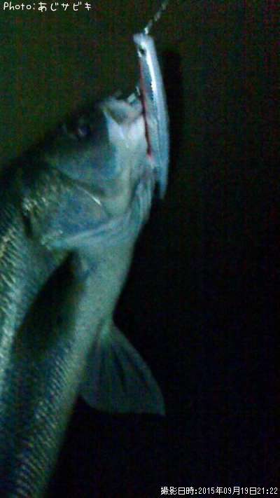 �����Х�