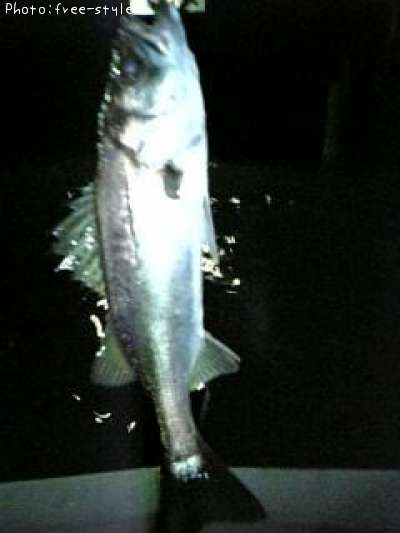 �ӣ��£���