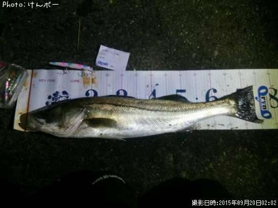 �����Х�