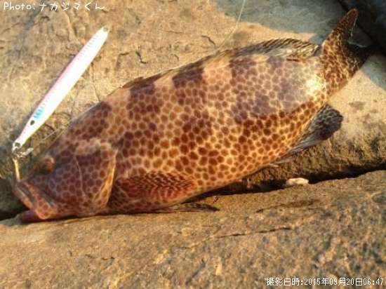 �������ϥ�