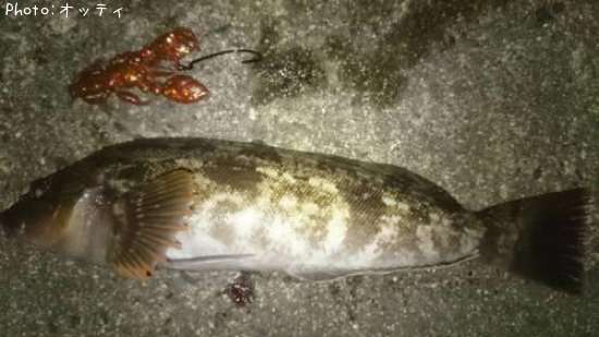 �����ʥ�