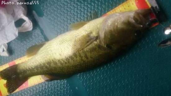 �֥�å��Х�