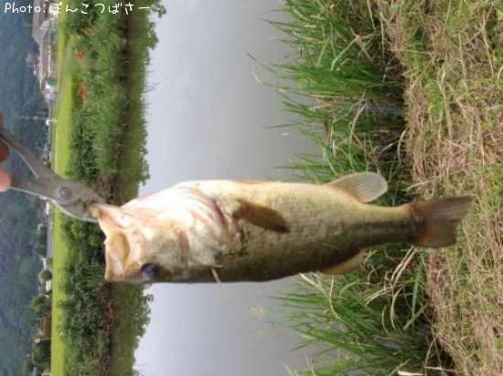 �֥�å��Х�