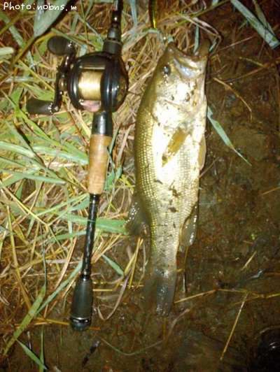 �֥�å��Х�