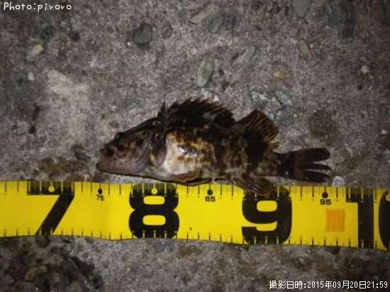 �����Υ���Х�