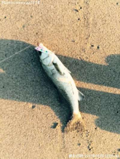 �����Х�