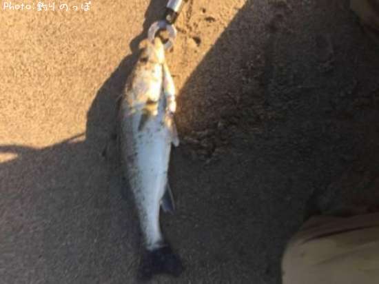 �����Х�