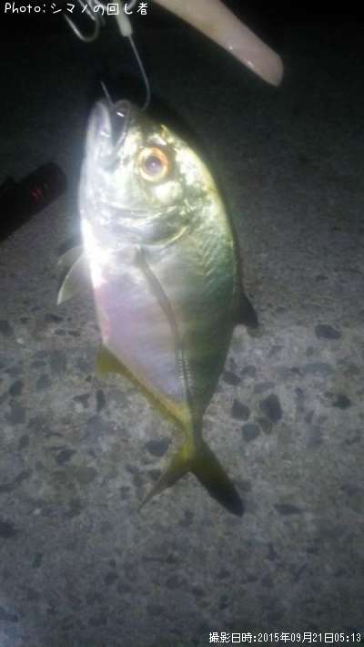 ��å�����