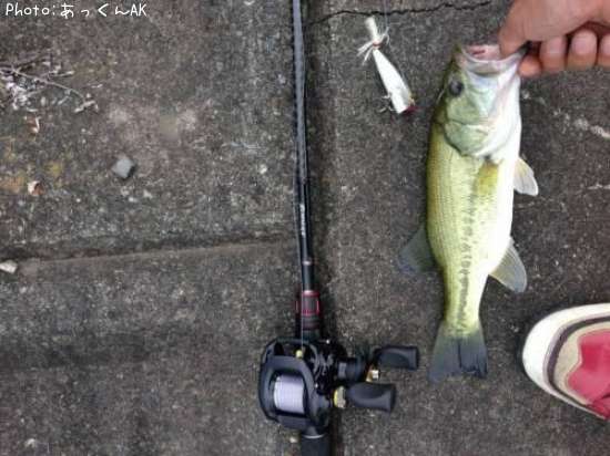 �֥�å��Х�