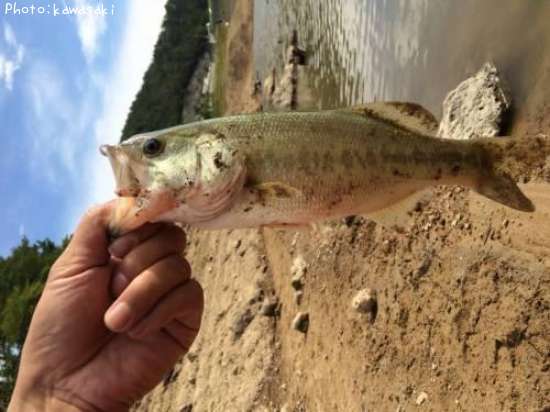 �֥�å��Х�