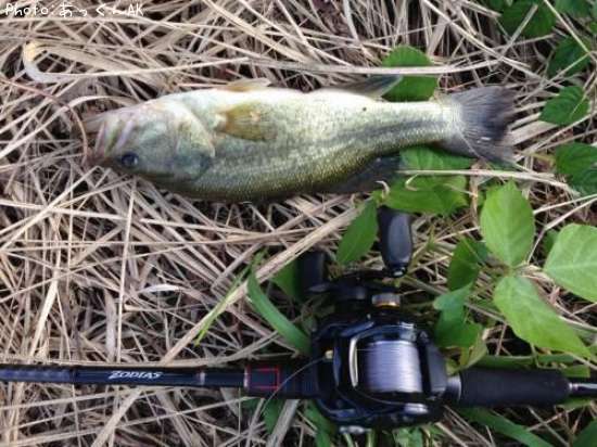 �֥�å��Х�