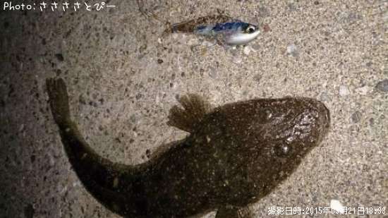 �ޥ������٥���