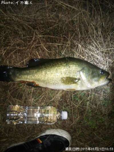 �֥�å��Х�