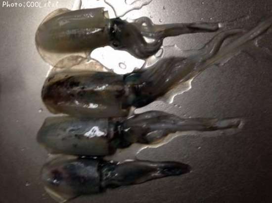 �����ꥤ��