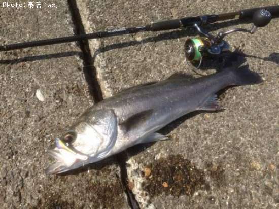 �����Х�