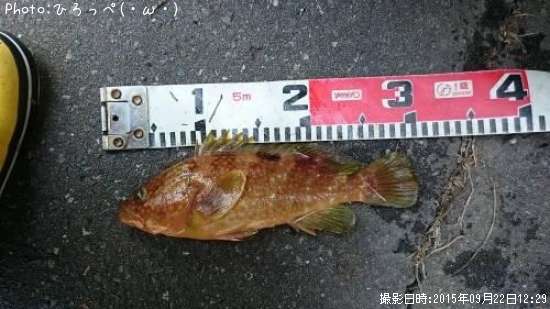 �����ϥ�