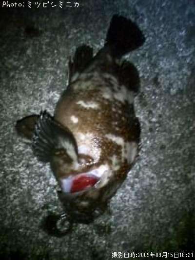 �����Υ���Х�