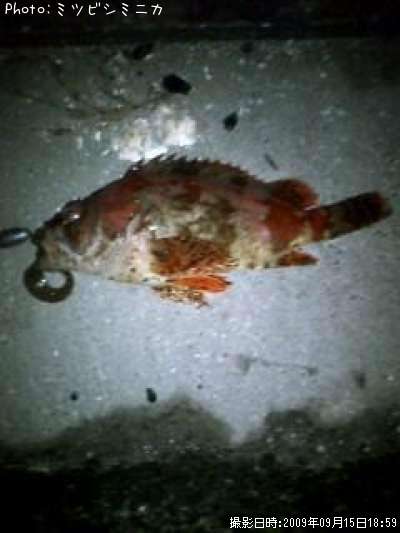 �������Х�