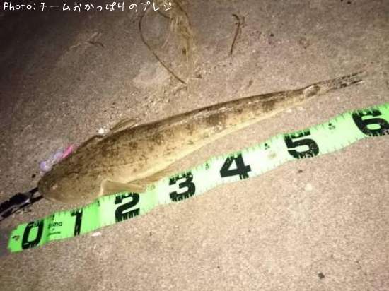 �ޥ���