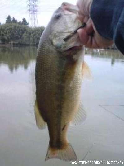 �֥�å��Х�