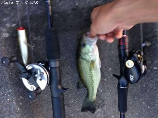 �֥�å��Х�