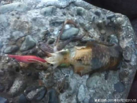 �����ꥤ��