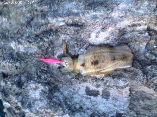 �����ꥤ��