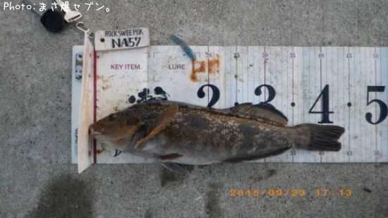 �����ʥ�